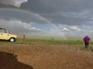 rainbow gobi